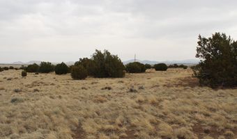 21 County Rd, Concho, AZ 85924