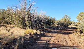 88- D Rose Ln, Ash Fork, AZ 86320