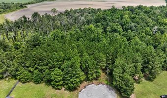 Farmingdon Drive, Adel, GA 31620