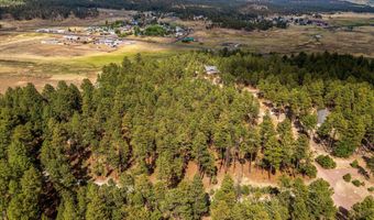 Tbd CR2325, Alpine, AZ 85920