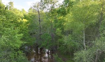 AMBOY RD, Arabi, GA 31712