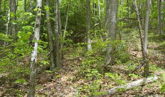 999999 Harwood Rd 2, Barnardsville, NC 28709