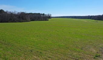 0 Tervin Mill Rd, Andalusia, AL 36421