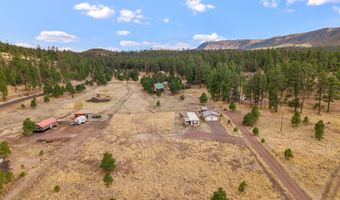 4 County Road 2110, Alpine, AZ 85920