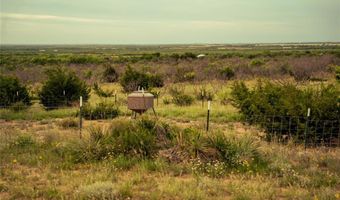 767 CR 301, Abilene, TX 79603