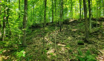 21 Nickerson Rd, Brandon, VT 05733