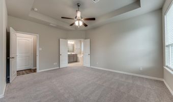 3137 Greymoore Dr, Anna, TX 75409