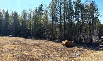 Milk Road lot 14, Alfred, ME 04002