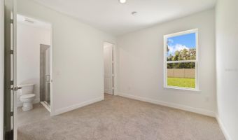 3497 LEMON BUTTON Trce, Apopka, FL 32712