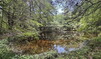 Pine Lodge Road, Batesville, MS 38606