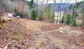458 Co Rd 4036, Arley, AL 35541