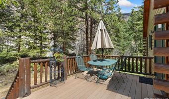 87 Shady Rest Ln, Bellvue, CO 80512