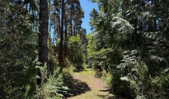 87219 BEACH Ln, Bandon, OR 97411