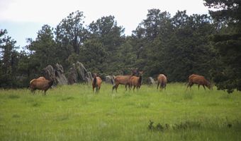 TBD Old Flowers Road, Bellvue, CO 80512