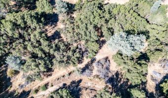 41902 Woodward Way, Ahwahnee, CA 93601