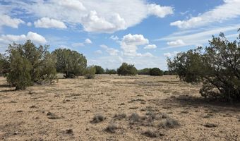 64 Antelope Run, Ash Fork, AZ 86320