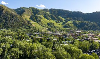 115 Neale Ave, Aspen, CO 81611