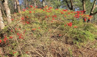 4728 PITTS Ave, Anniston, AL 36206