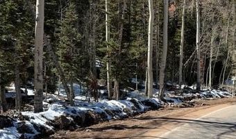 641 N Utah HWY143, Brian Head, UT 84719