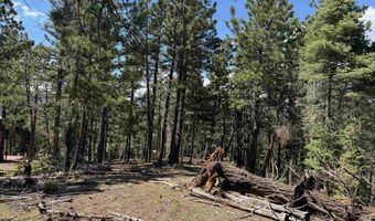 El Vado Way lot 1662, Angel Fire, NM 87710