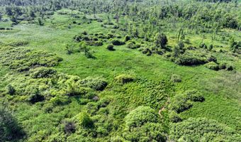 Vl 24 Mile Rd Lot # WP001, Albion, MI 49224