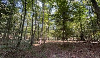 0 Nick Creek Rd, Bernice, LA 71222