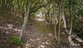 1557 Shoal Creek Rd, Balsam Grove, NC 28708