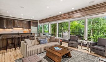 738 S Galena St 1-C, Aspen, CO 81611