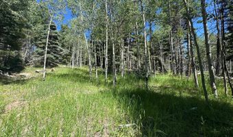 Lot 1012 El Camino Real, Angel Fire, NM 87710