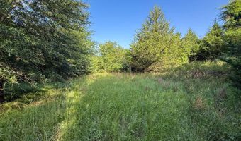 Tract 10 Highway 70, Bennington, OK 74723