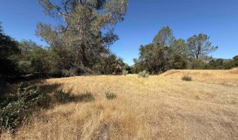 41902 Woodward Way, Ahwahnee, CA 93601