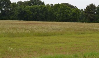 376 D O Laman Rd, Alamo, TN 38001