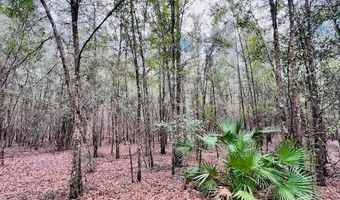 85 Th St, Bell, FL 32619