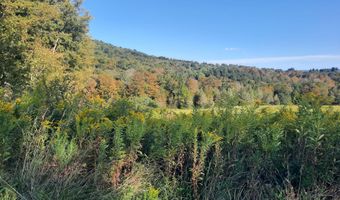 Upper Dingle Hill Road, Andes, NY 13731
