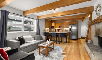 914 Waters Ave 20, Aspen, CO 81611