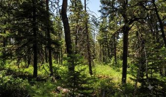 176 Big Timber Dr, Bayfield, CO 81122