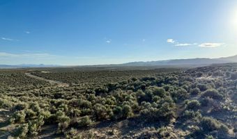 40 Acres NW Ryndon, Elko, NV 89801