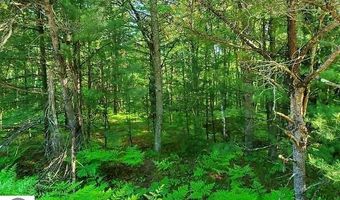 0 Hillside Dr, Alger, MI 48610