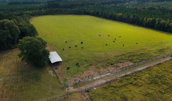644 Ash-Harrel Loop, Abbeville, GA 31001