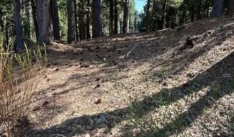 2179 Navajo, Arnold, CA 95223