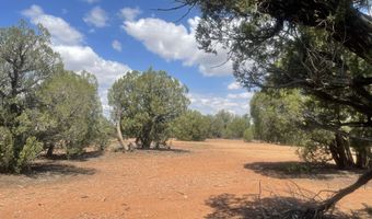 4934 Elk Trail Rd, Clay Springs, AZ 85923