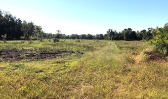 1071 LR 3, Ashdown, AR 71822