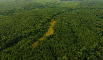 1037 Cr 300, Big Creek, MS 38914