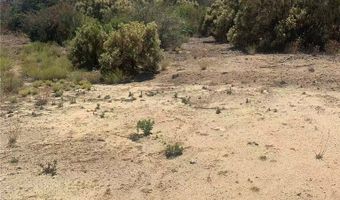 57775 Running Spring Rd, Anza, CA 92539
