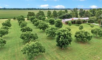 11599 Hwy 3049, Belcher, LA 71004