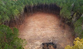 00002 Trickhambridge Rd, Brandon, MS 39042