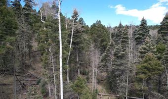 Tbd Apache Circle, Angel Fire, NM 87710