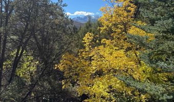 635 Cedar Dr, Basalt, CO 81621