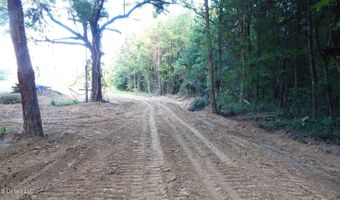 504 247 Country Rd, Bruce, MS 38915