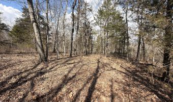 1790 County Rd A-435, Ava, MO 65608